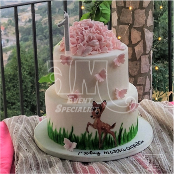 Compleanno di Maria Chiara