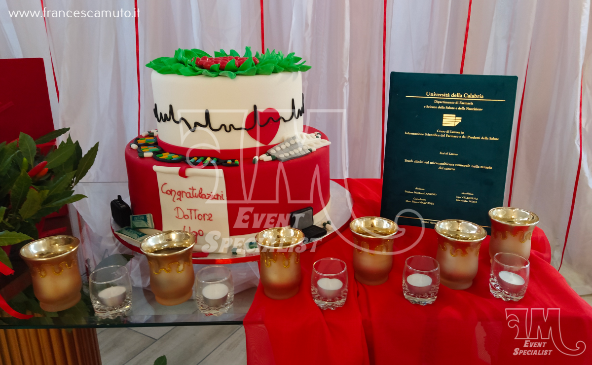 Laurea di Ugo