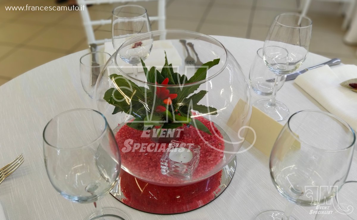 Laurea di Ugo