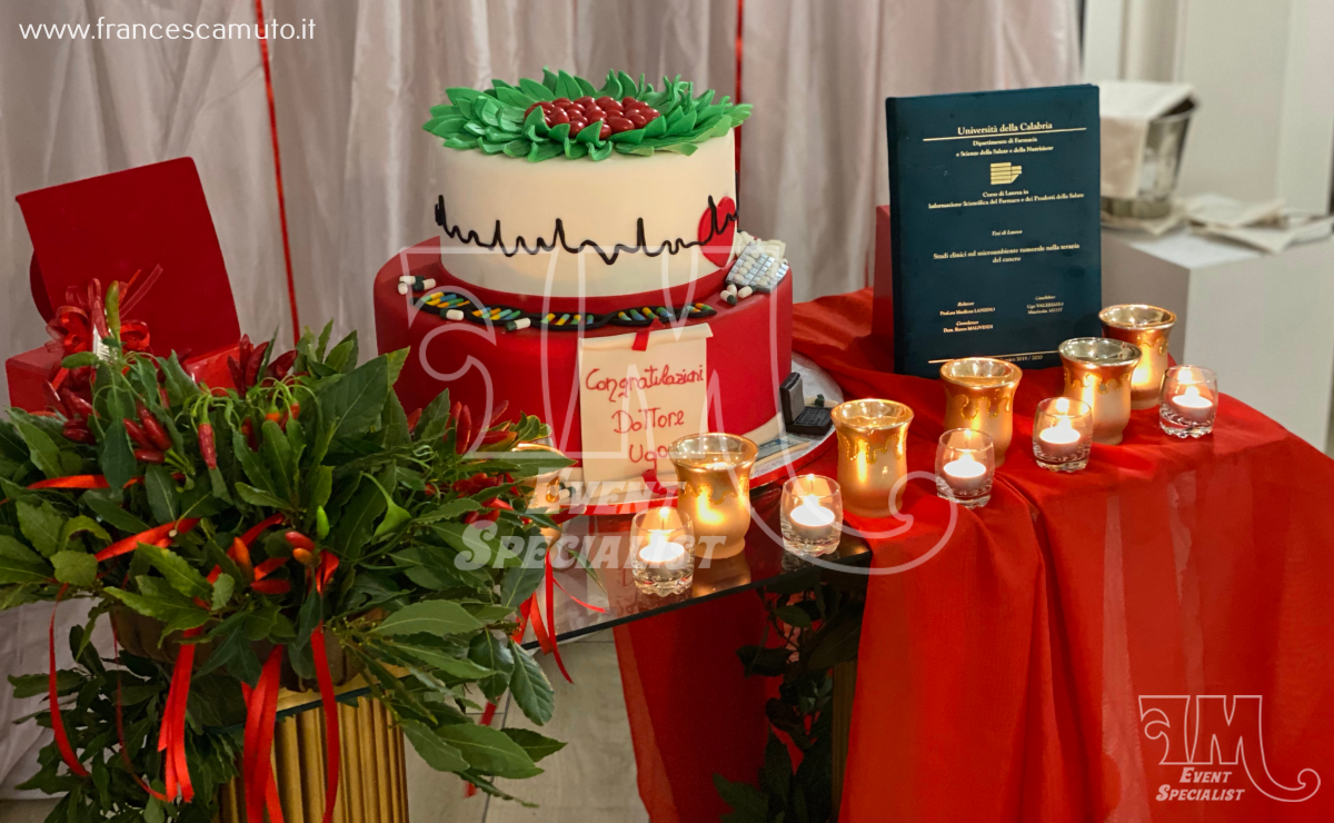 Laurea di Ugo