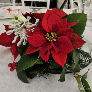 Matrimonio Francesco e Giovanna