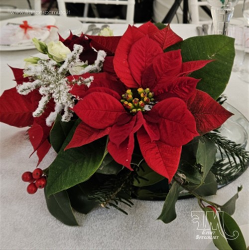 Matrimonio Francesco e Giovanna
